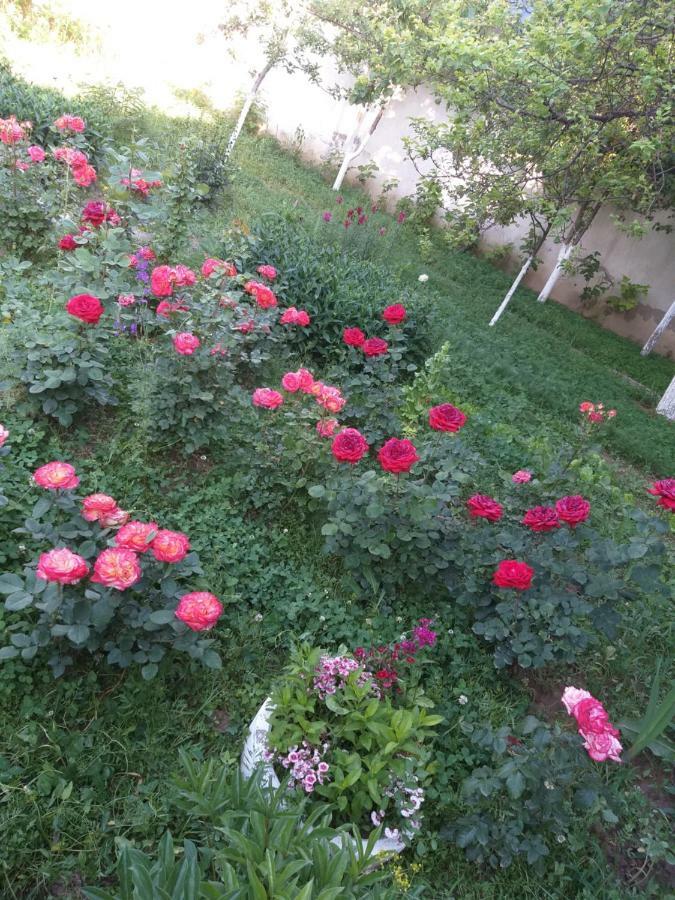 Shymhostle Hostel Shymkent Bagian luar foto