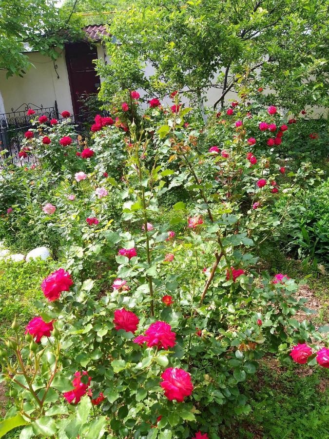 Shymhostle Hostel Shymkent Bagian luar foto